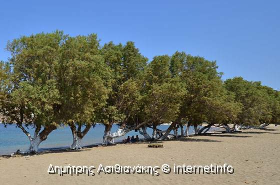Παραλία Επισκοπή